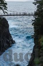 果冻传媒主颜值排行榜-果冻传媒主颜值排行榜，颜值经济下的新风尚