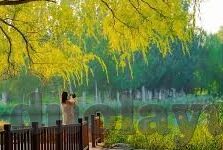 麻豆日记app下载地址-探索数字生活的日常，解锁麻豆日记APP的下载秘径