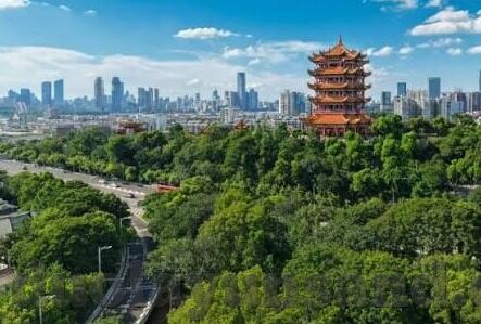 mdapptv麻豆下载APP-解锁娱乐新体验，MDApptv麻豆下载APP深度测评