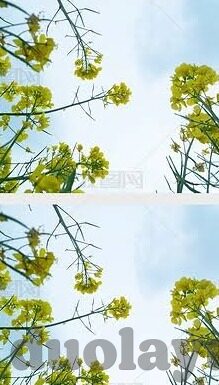 日韩av高清无码-探索日韩AV高清无码的背后，文化、艺术与伦理的交织