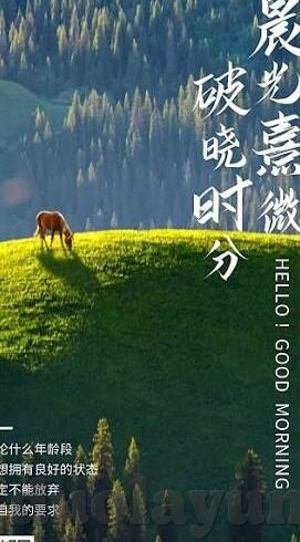 日韩av另类av-探索成人娱乐内容的多元化视角，日韩AV与另类AV的独特魅力