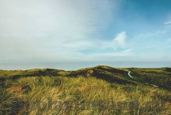 糖心vlog在线观看视频_糖心vlog-糖心Vlog——探索网络视频分享的独特魅力